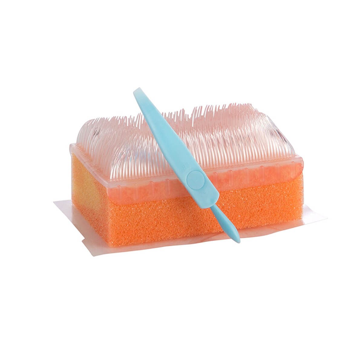 View of only E-Z Scrub, 107 Surgical Brush/Sponge, 4% CHG