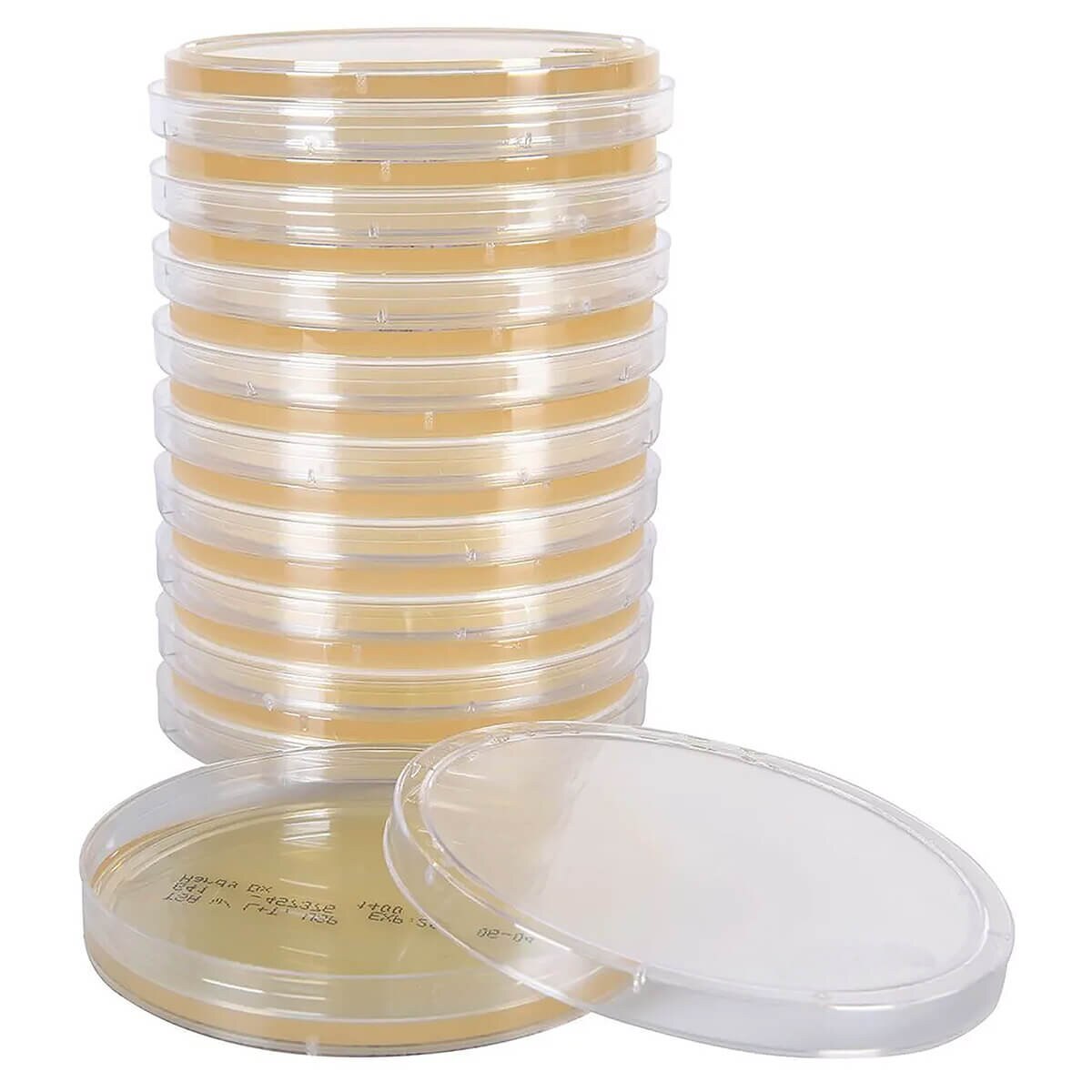 Hardy Diagnostics G41 Tryptic Soy Agar plates with lecithin and Tween 80, stacked with one 15 × 100 mm plate open to show the 20 mL amber medium